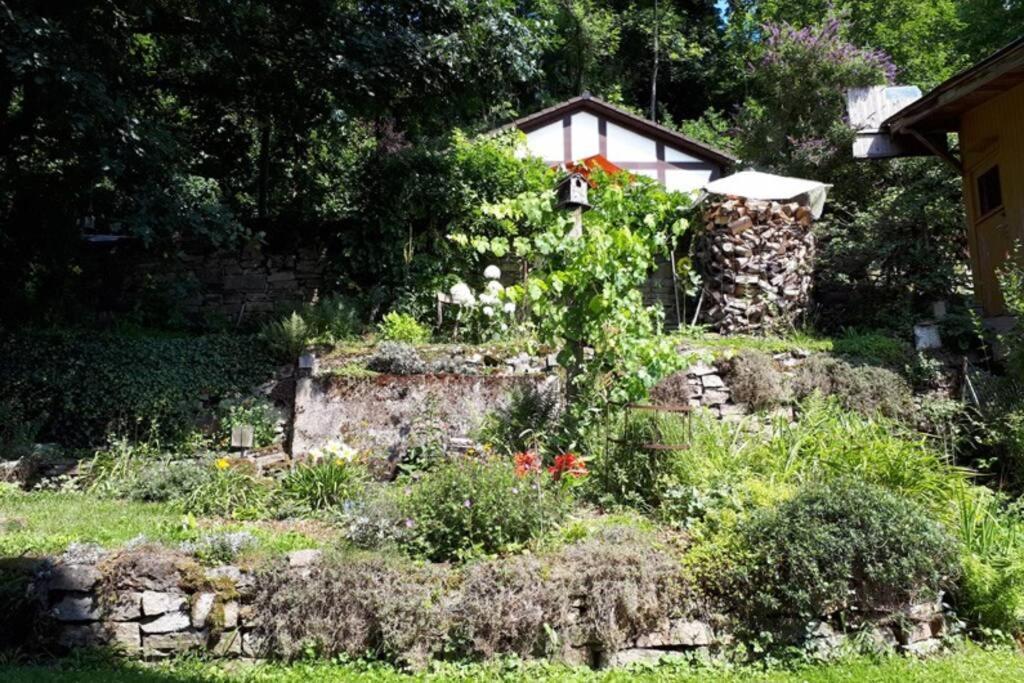 Eine Gemuetliche Ferienwohnung Mit Garten Bad Karlshafen Eksteriør billede
