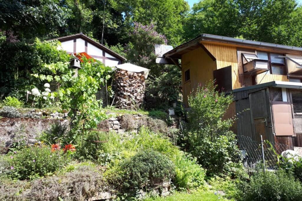 Eine Gemuetliche Ferienwohnung Mit Garten Bad Karlshafen Eksteriør billede