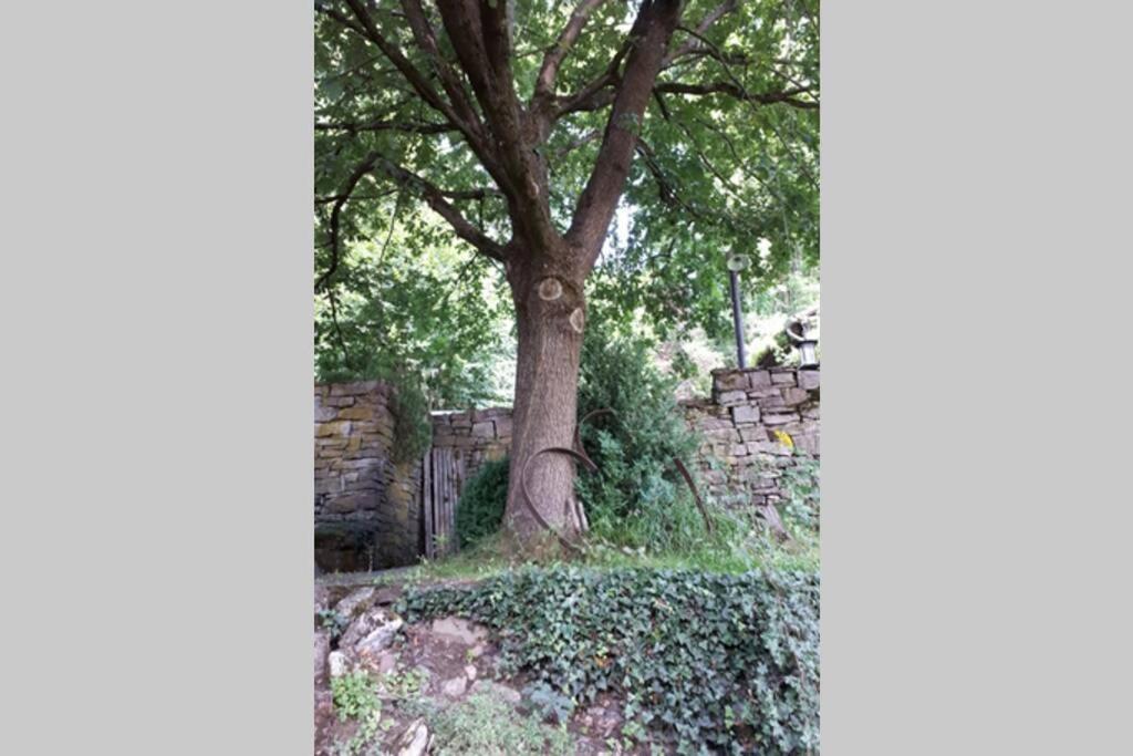 Eine Gemuetliche Ferienwohnung Mit Garten Bad Karlshafen Eksteriør billede
