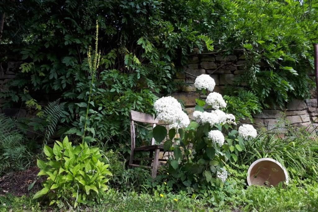 Eine Gemuetliche Ferienwohnung Mit Garten Bad Karlshafen Eksteriør billede